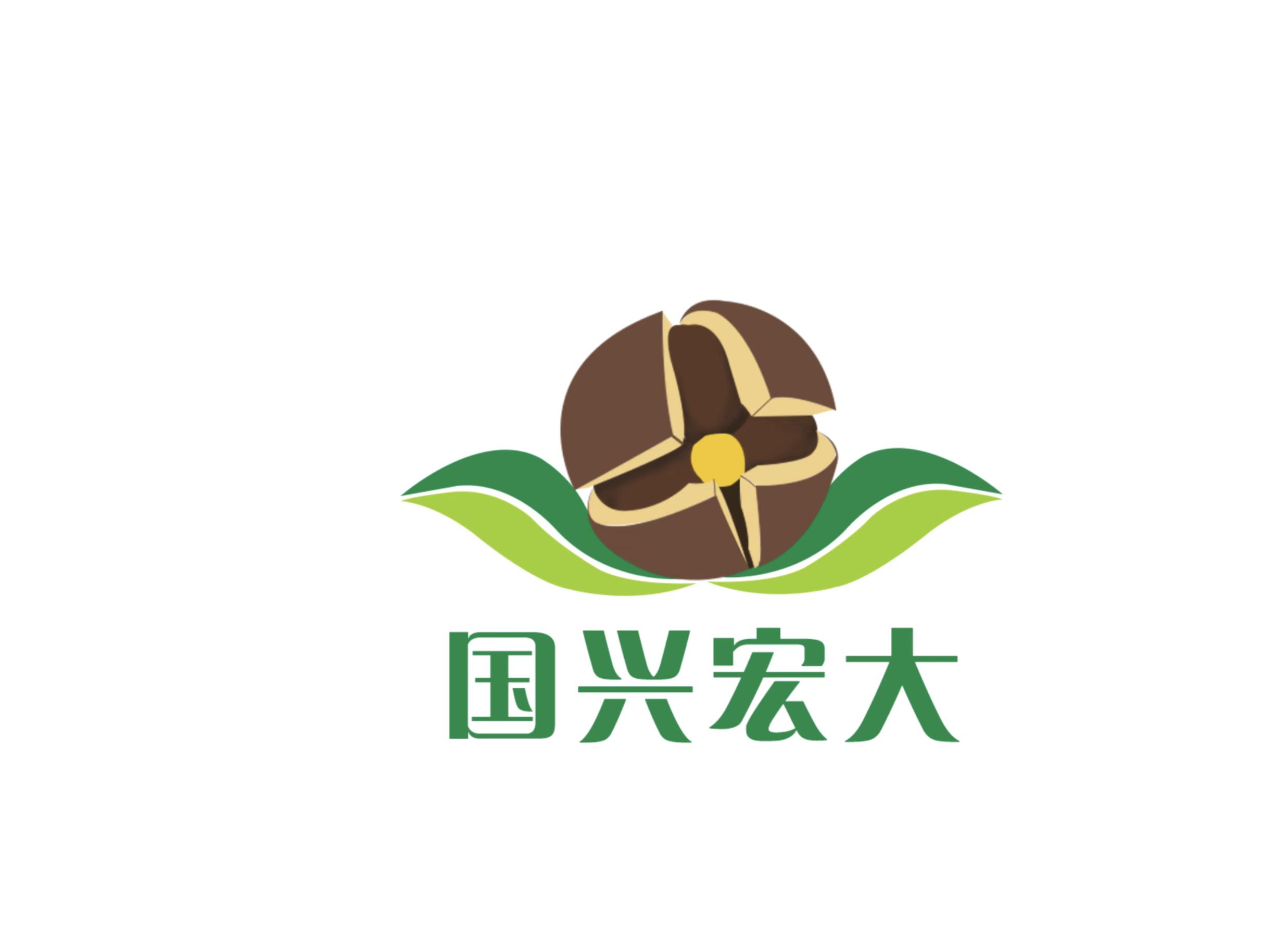 我公司成功申請到“國興宏大”商標